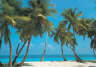 Bahama Breeze palm tree mural