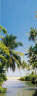 Lagoon palm tree mural