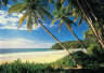 Island Vacation palm tree mural