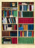 BOOKCASE WALL MURAL
