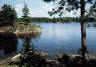 Lake in the Woods c391 wall mural
