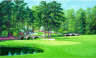 Golfers Paradise Mural