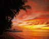 Tobago Sunset PR98097