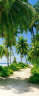 Tahiti Palmetto Sunrise Chair Rail Wall Mural
